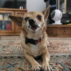 Meet your Posher, Kristen